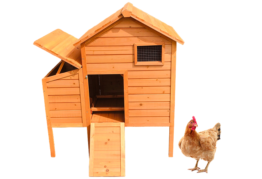 Wooden Chicken Coop SDC005