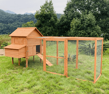 Wooden Chicken Coop