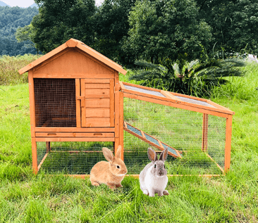 Wooden Rabbit Hutch