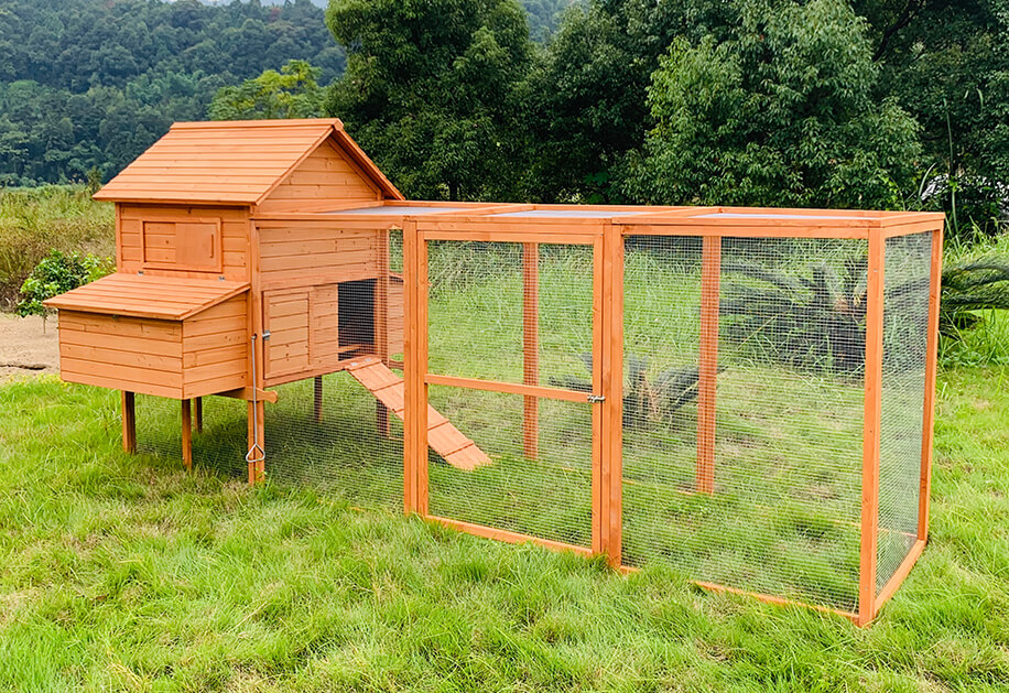 Wooden Chicken Coop SDC023XL-1	