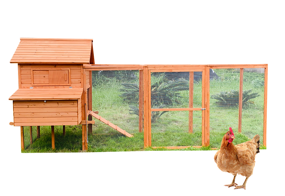 Wooden Chicken Coop SDC023XL-1