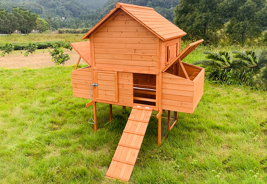 Wooden Chicken Coop SDC023XL-1