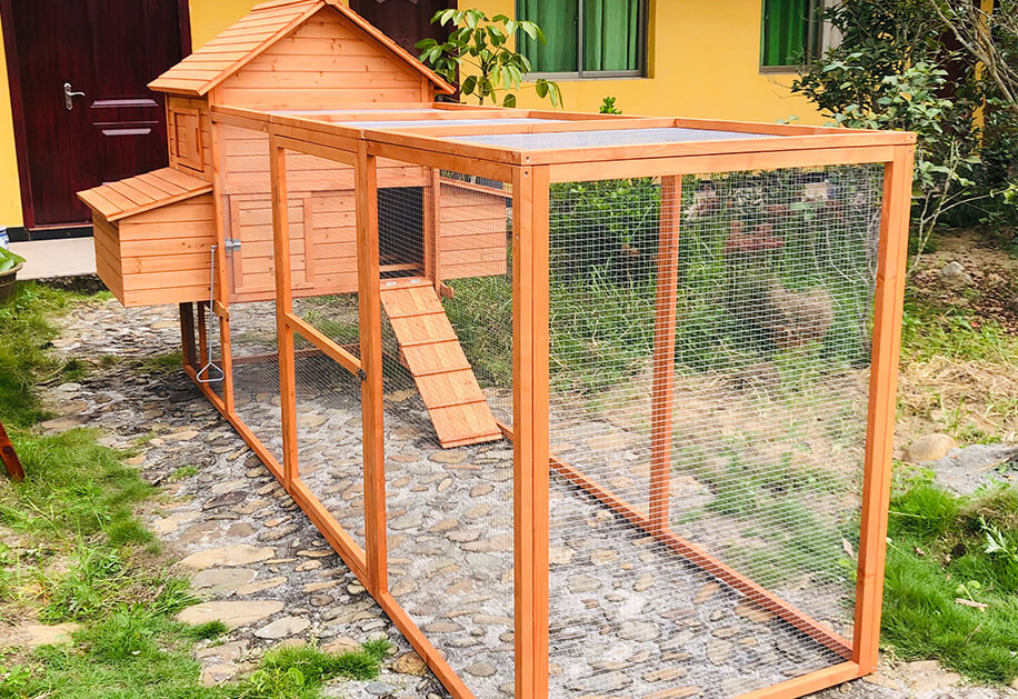 Wooden Chicken Coop SDC023XL-1