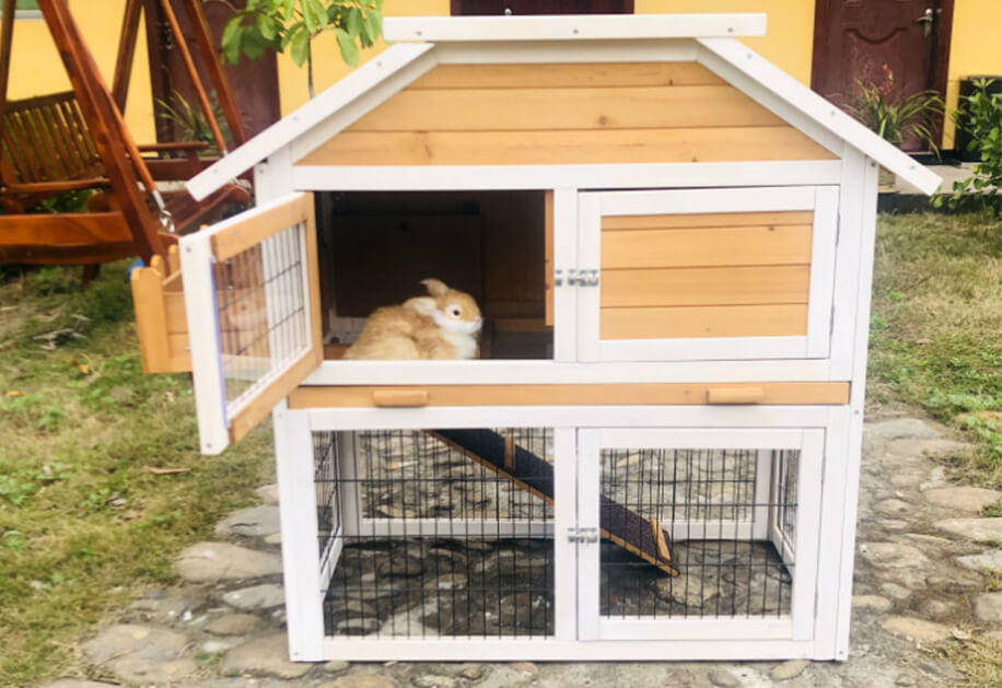 Wooden Rabbit Hutch SDR032