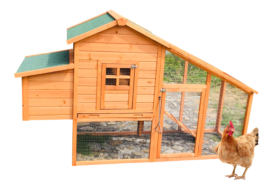 Wooden Chicken Coop SDC003-A