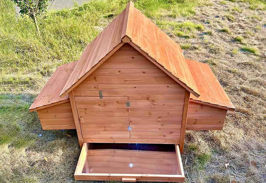 Wooden Chicken Coop SDC002XL-D