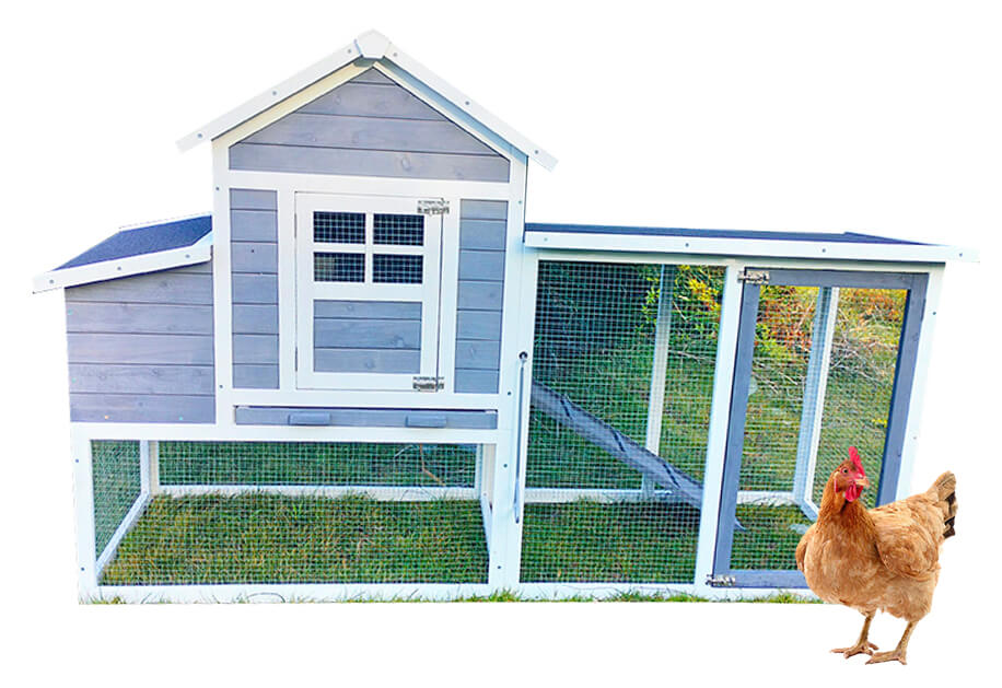 Wooden Chicken Coop SDC029-Gray