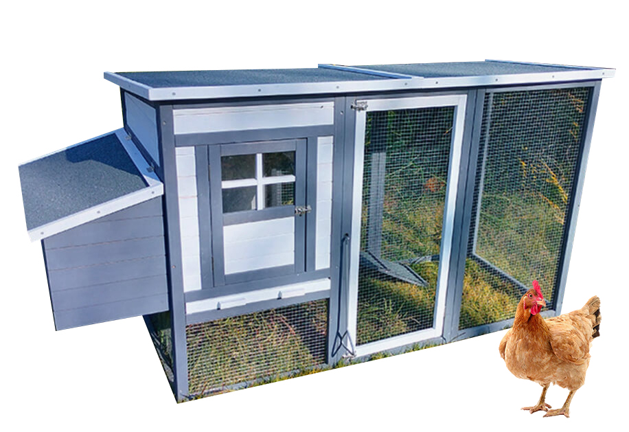 Wooden Chicken Coop SDC004-Gray