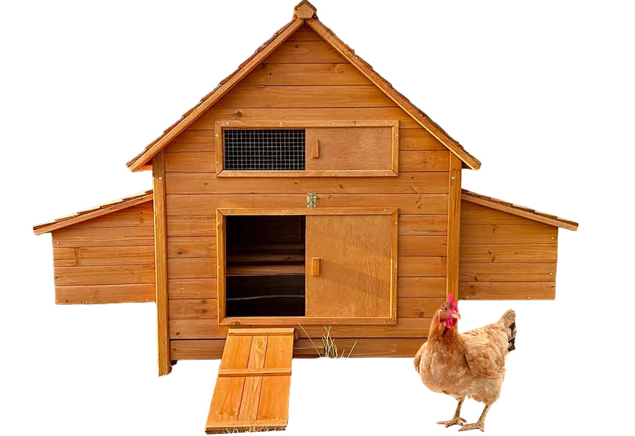 Wooden Chicken Coop SDC002XL-D